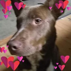 Meet your Posher, Betti